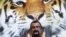 Голливудский актер Стивен Сигал на выставке Центра амурского тигра, Владивосток, 4 сентябпя 2015