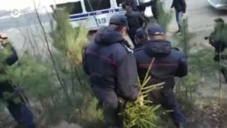 Новости. Коротко