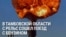 Пожар на станции Кочетовка в Тамбовской области России: сошли с рельс и загорелись несколько вагонов поезда, который вез бензин