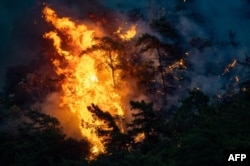 Лесной пожар в провинции Мугла, 2 августа 2021 года. Фото: AFP