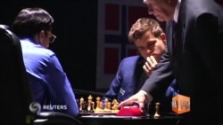 Норвежец Карлсен защитил титул чемпиона мира по шахматам