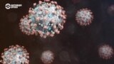 Детали: наноловушки для борьбы с вирусами