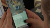 Dog's Tinder application in Lithuania 