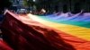 Вице-спикер Госдумы: флаги ЛГБТ на иностранных посольствах в РФ могут влиять на голосование по Конституции 