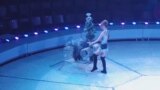 ukraine circus 