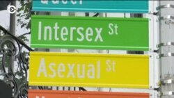 В Нью-Йорке готовятся отметить 50-летие движения за права ЛГБТ