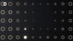 Апология полицейского насилия. Вечер с Тимуром Олевским