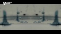 Новости. Коротко