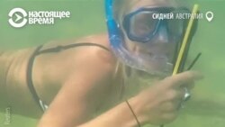 Операция "Соломинка" в океане
