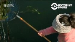 Кто заставляет индийскую девочку спасать мир