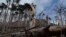UKRAINE – consequences of fires in the mountain forest nature reserve, Yalta, 5 April 2020