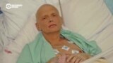 ЕСПЧ признал Россию ответственной за отравление Александра Литвиненко