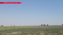 Фермеры в Узбекистане жалуются на побои из-за невыполнения госплана