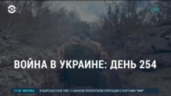 Америка: что больше всего волнует американцев перед выборами
