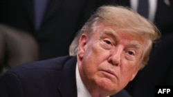 Дональд Трамп 