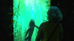 "Океанская Одиссея" под Таймс-сквер. Как выглядит уникальный виртуальный аттракцион