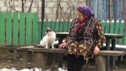 Пятое время года: дюжина детей одной мамы