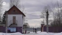 Новости. Коротко