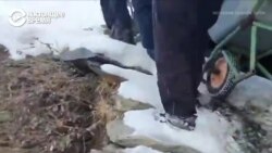 "Угрожающего для жизни у нас ничего нет": женщину в Дагестане везут из больницы домой в горы на тачке