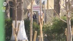 Новости. Коротко