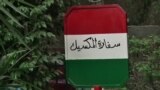 Выжившие туристы рассказали об обстреле с самолетов и вертолетов в Египте
