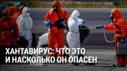 Хантавирус: что это такое и что мы знаем о его смертельной вспышке