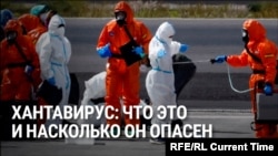 Хантавирус: что это такое и что мы знаем о его смертельной вспышке