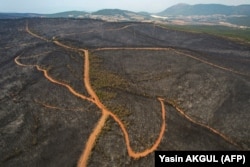 Выжженные и пострадавшие леса и сельскохозяйственные территории в провинции Мугла, 5 августа 2021 года. Фото: AFP