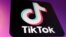 FILE PHOTO: Illustration shows TikTok app logo