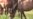 16x9 Image