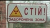 «Бабушки Чернобыля»: фильм о любви к земле