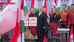Чем выборы в Венгрии похожи на выборы в России?