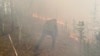 В Курганской и Тюменской областях из-за природных пожаров ввели режим ЧС: огонь перекинулся на дома, погибли 7 человек