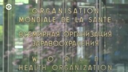 Новости. Коротко