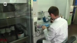 Новости. Коротко