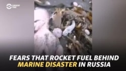 Fears That Rocket Fuel Behind Marine Disaster In Russia's Far East