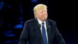 Виктор Янукович и Дональд Трамп