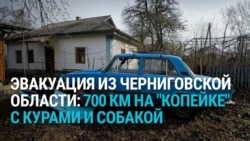 "По Киеву с курочками, с мигалками!" 69-летний пенсионер проехал 700 км на "копейке", спасаясь от войны, — с курами, петухом и собакой