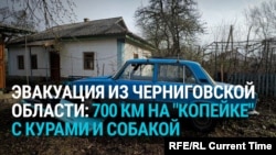 "По Киеву с курочками, с мигалками!" 69-летний пенсионер проехал 700 км на "копейке", спасаясь от войны, — с курами, петухом и собакой
