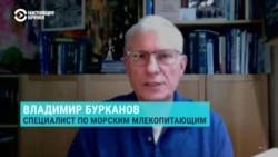 Бурканов: "Вопрос рыболовства очень политизирован"