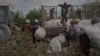 Рабство на хлопковых полях Узбекистана. Премьера документального фильма Михаила Бородина "Хлопок 100%"