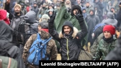 Нашествие мигрантов на польско-белорусской границе. ФОТО
