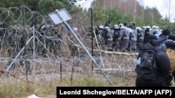 8 ноября мигранты попытались прорвать забор из колючей проволоки, который Польша построила на границе с Беларусью в последние месяцы