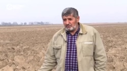 "Дайте землю!" Фермеры в Кыргызстане боятся потерять участки, которые обрабатывают много лет