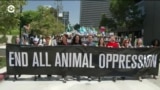 В Лос-Анджелесе прошел марш за права животных