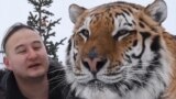"Такая большая кошка, а до сих пор хочет на ручки": история человека, который спасает тигров