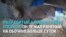 Раненый лосенок сутки пролежал на трассе в Подмосковье из-за бездействия властей 