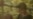 teaser