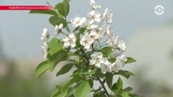 Азия: Таджикистан учится спасаться от наводнений