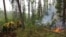 RUSSIA - Firefighters battle a forest fire, Yakutia, July 01, 2021
